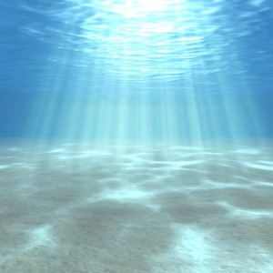 awesome-beautiful-bottom-bottom-of-the-ocean-dream-Favim.com-242993